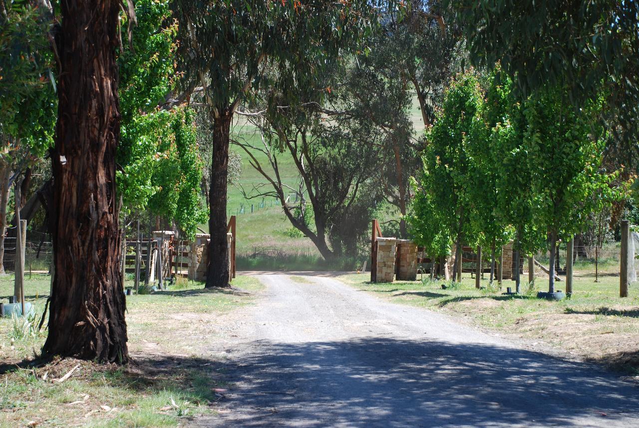 Bluegum Ridge Cottages Merrijig Dış mekan fotoğraf