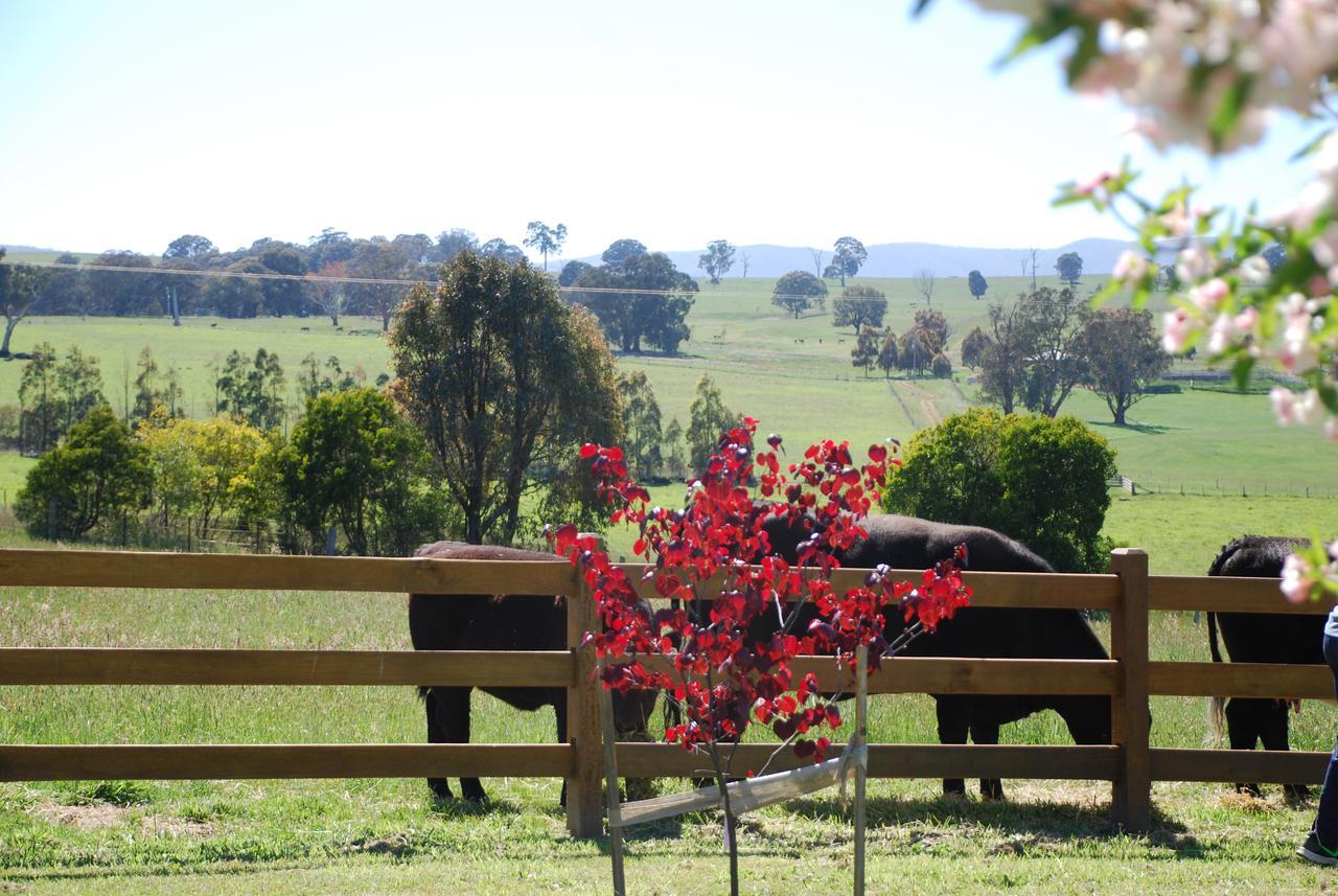 Bluegum Ridge Cottages Merrijig Dış mekan fotoğraf