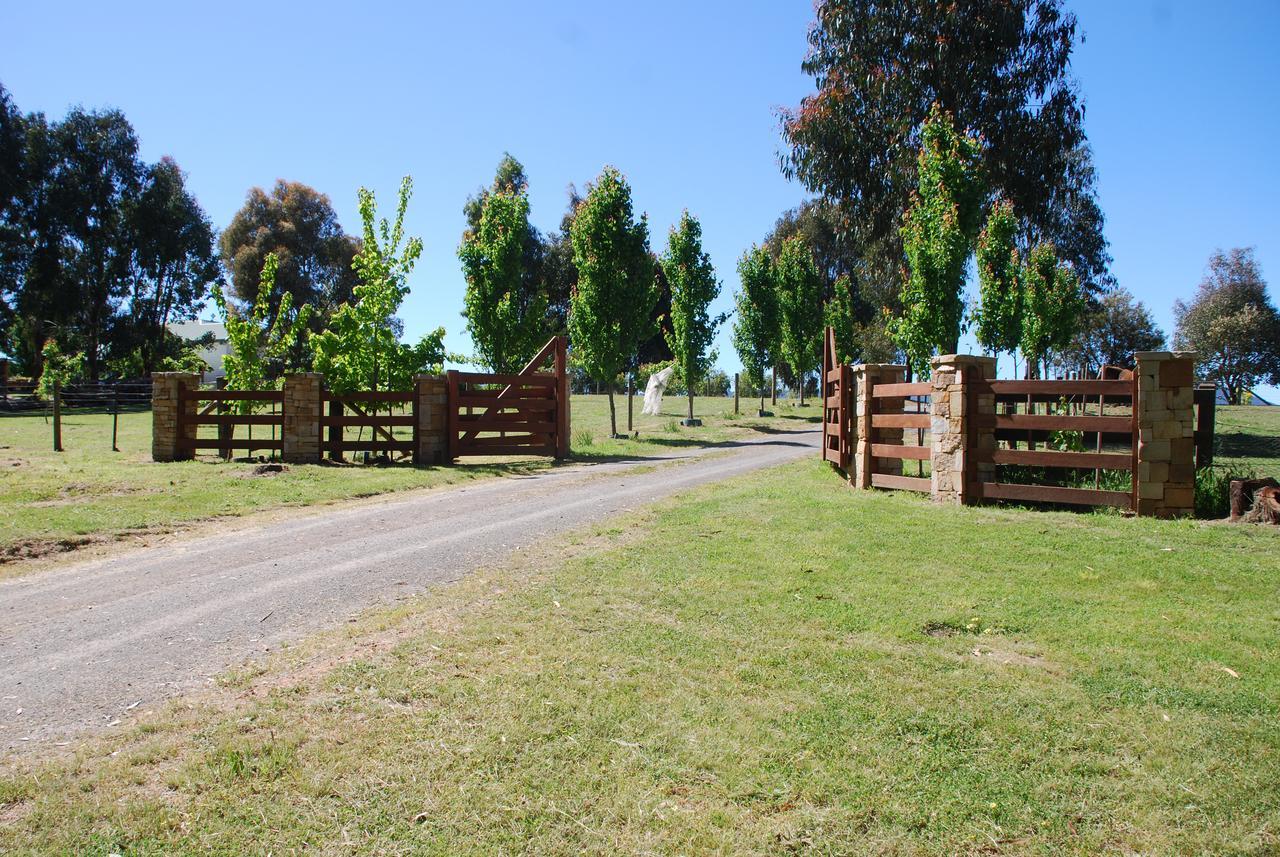 Bluegum Ridge Cottages Merrijig Dış mekan fotoğraf