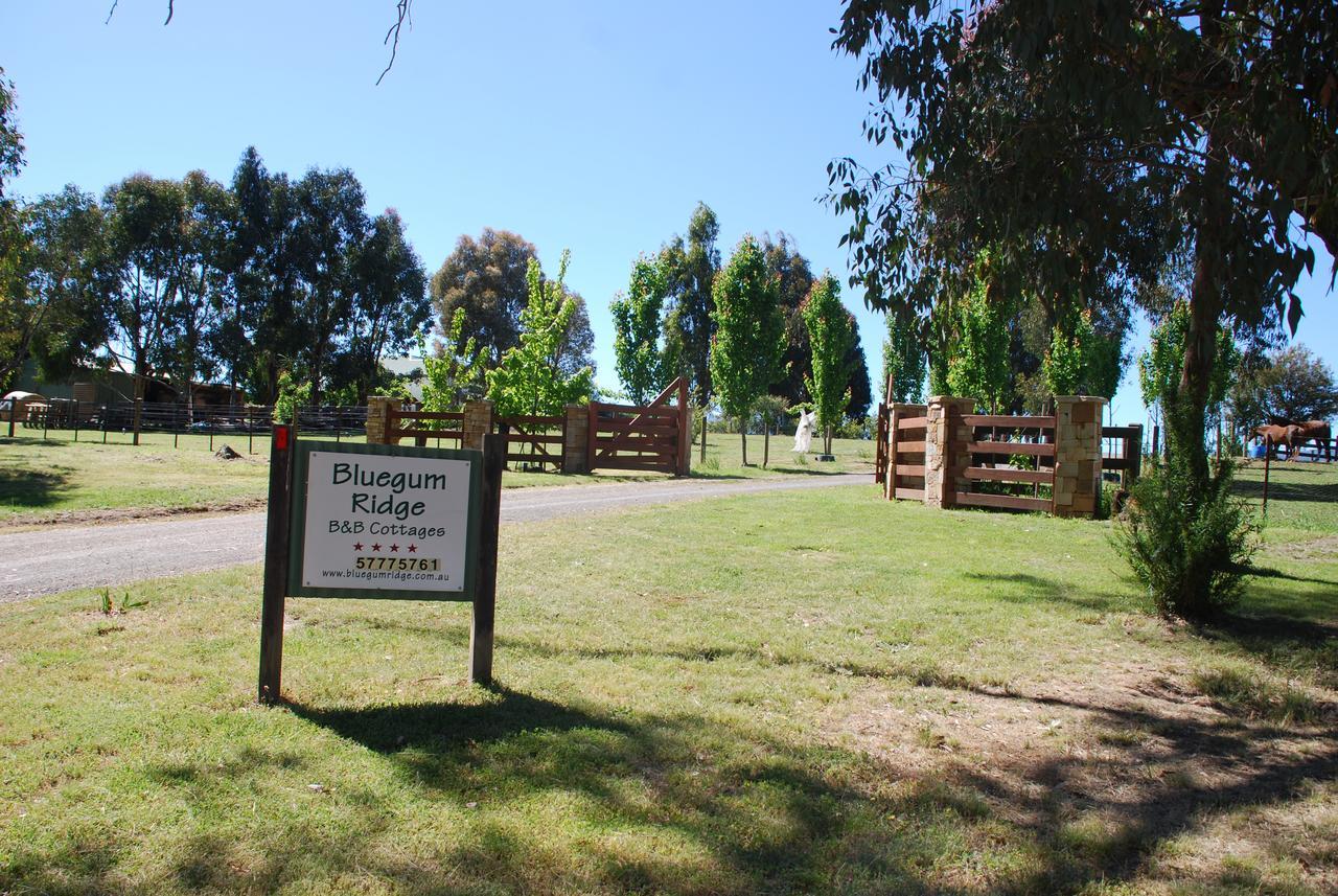 Bluegum Ridge Cottages Merrijig Dış mekan fotoğraf